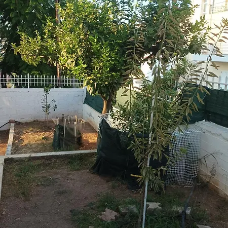 Villa Chalkis *