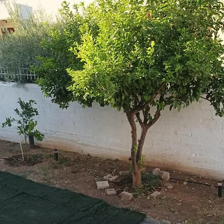 Villa Chalkis Apartment